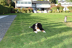 SANTA CLARA UNIVERSITY AND SEATTLE UNIVERSITY